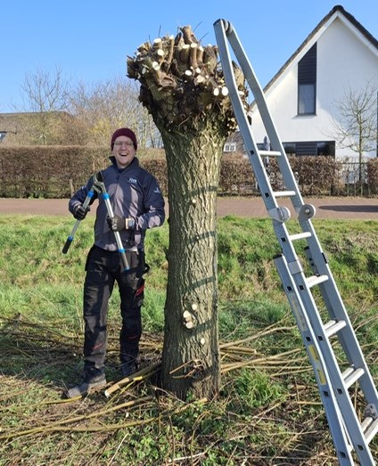 Jelle staat links naast een zojuist geknotte wilg, Tegen de boom staat aan de andere kant een ladder