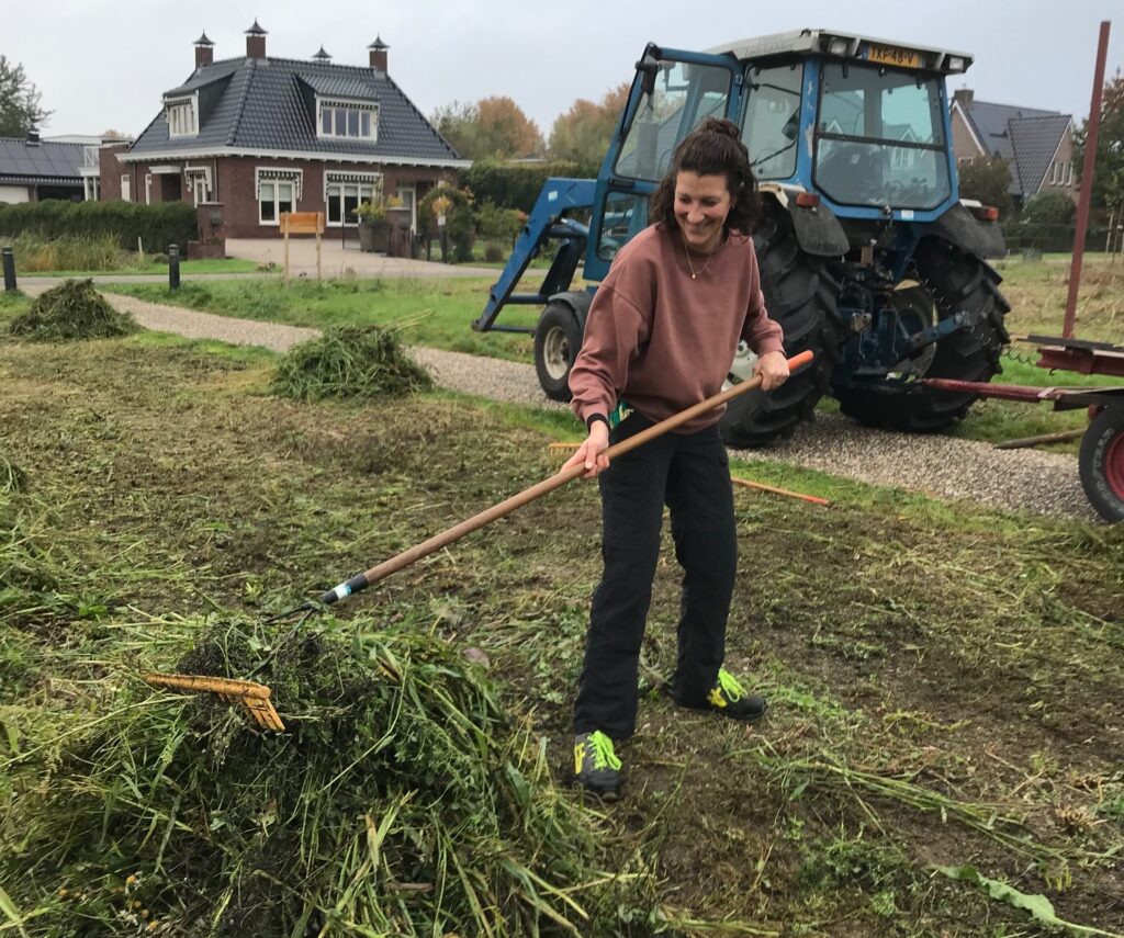 Anne staat op een veld maaisel op een hoop te harken. Op de achtergrond de VLB tractor