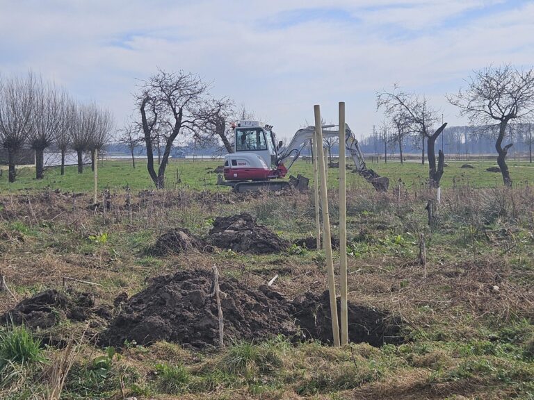een graafmachine is bezig een poel te graven, op de voorgrond een boomgat voor een fruitboom