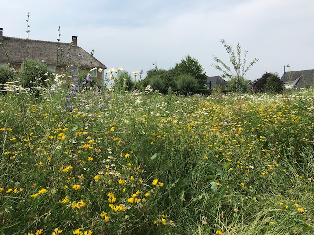 Doe mee met de BioBlitz en win een woning