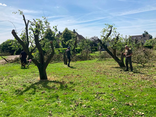 Eerste hulp bij stormschade