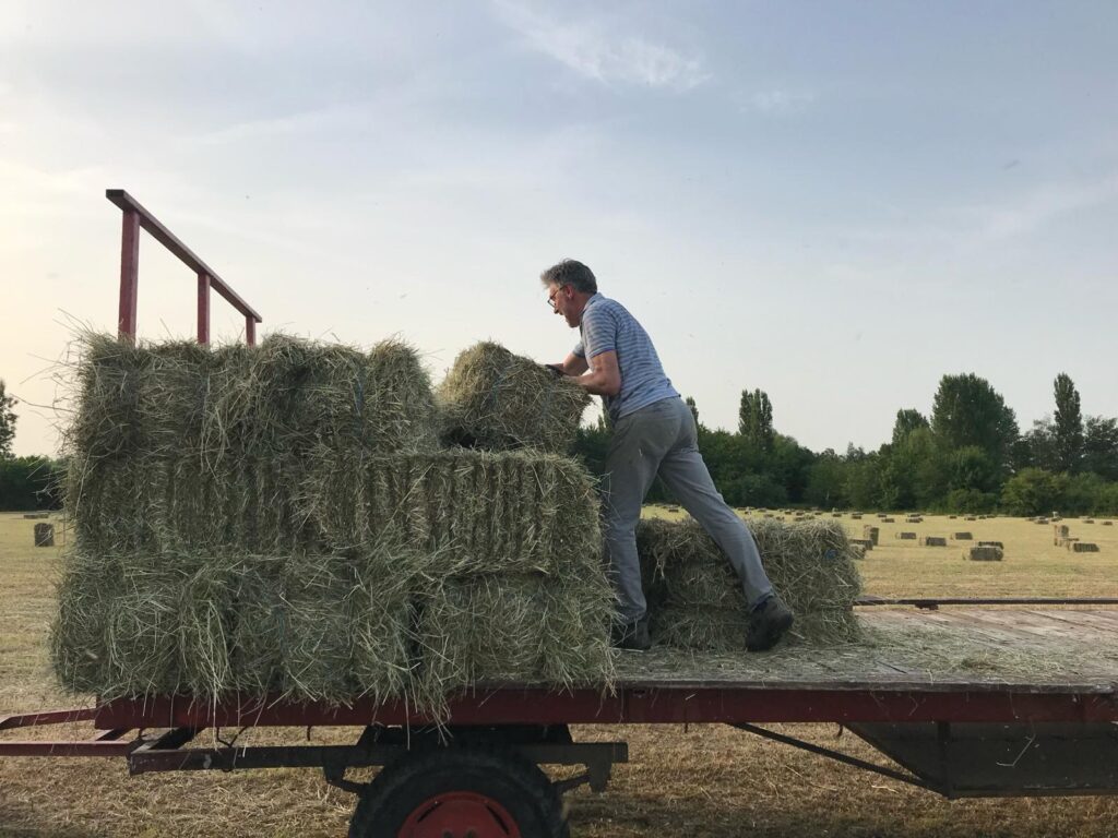 Een vrijwilliger laadt balen